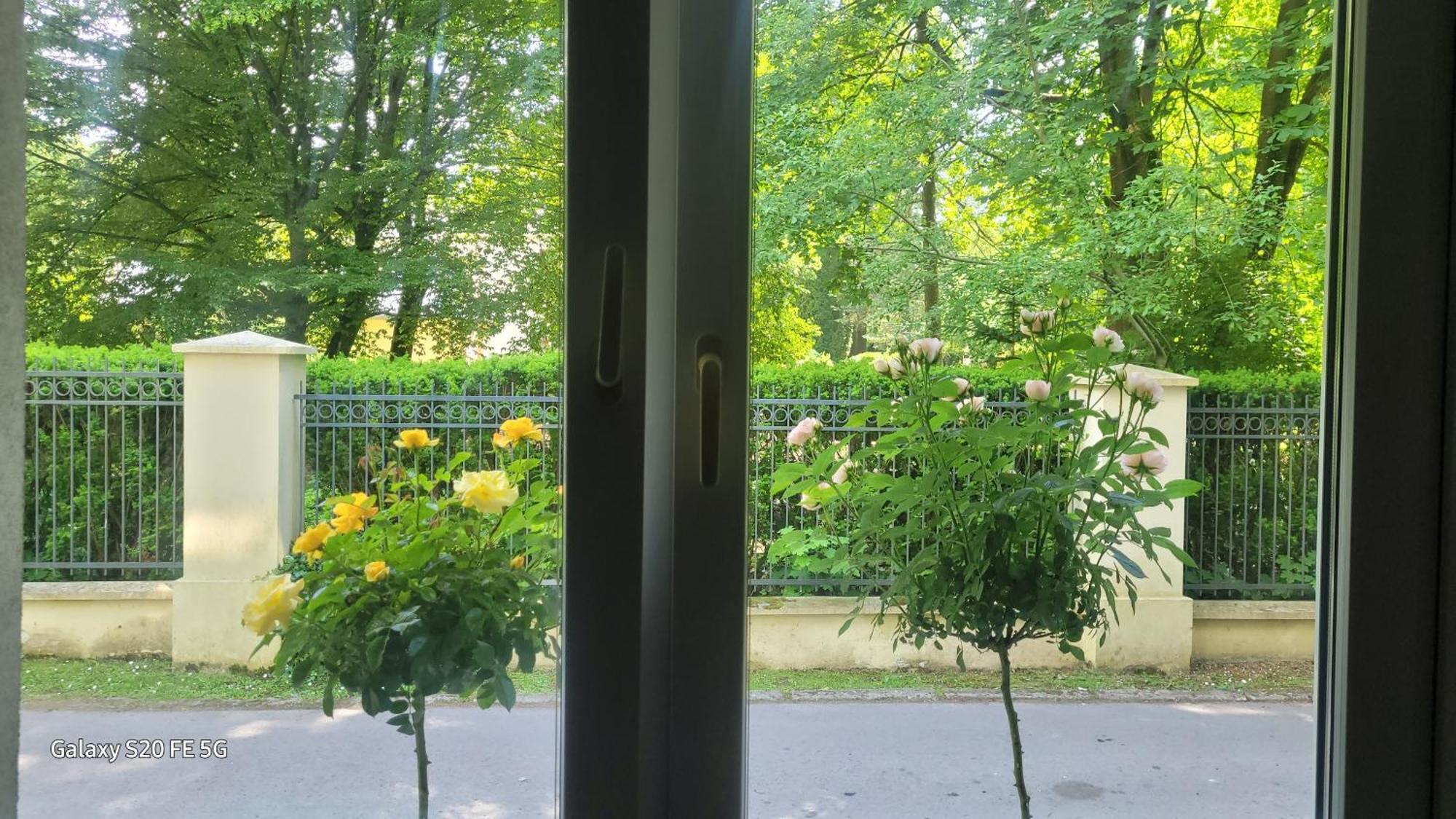 Apartament Przy Parku Nałęczów Extérieur photo